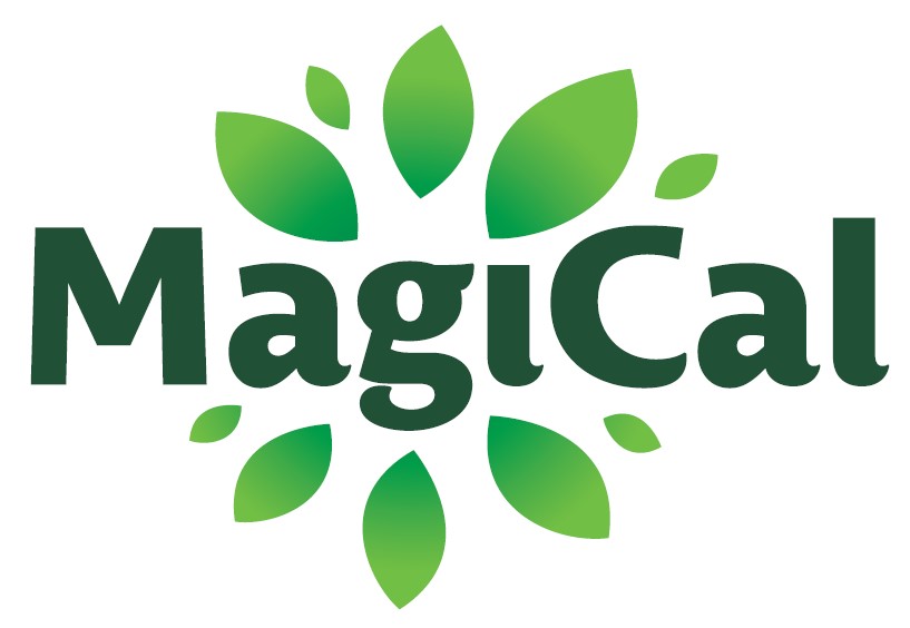 logo MagiCal
