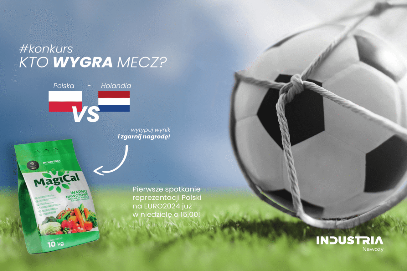 Konkurs – wytypuj wynik meczu Polska – Holandia