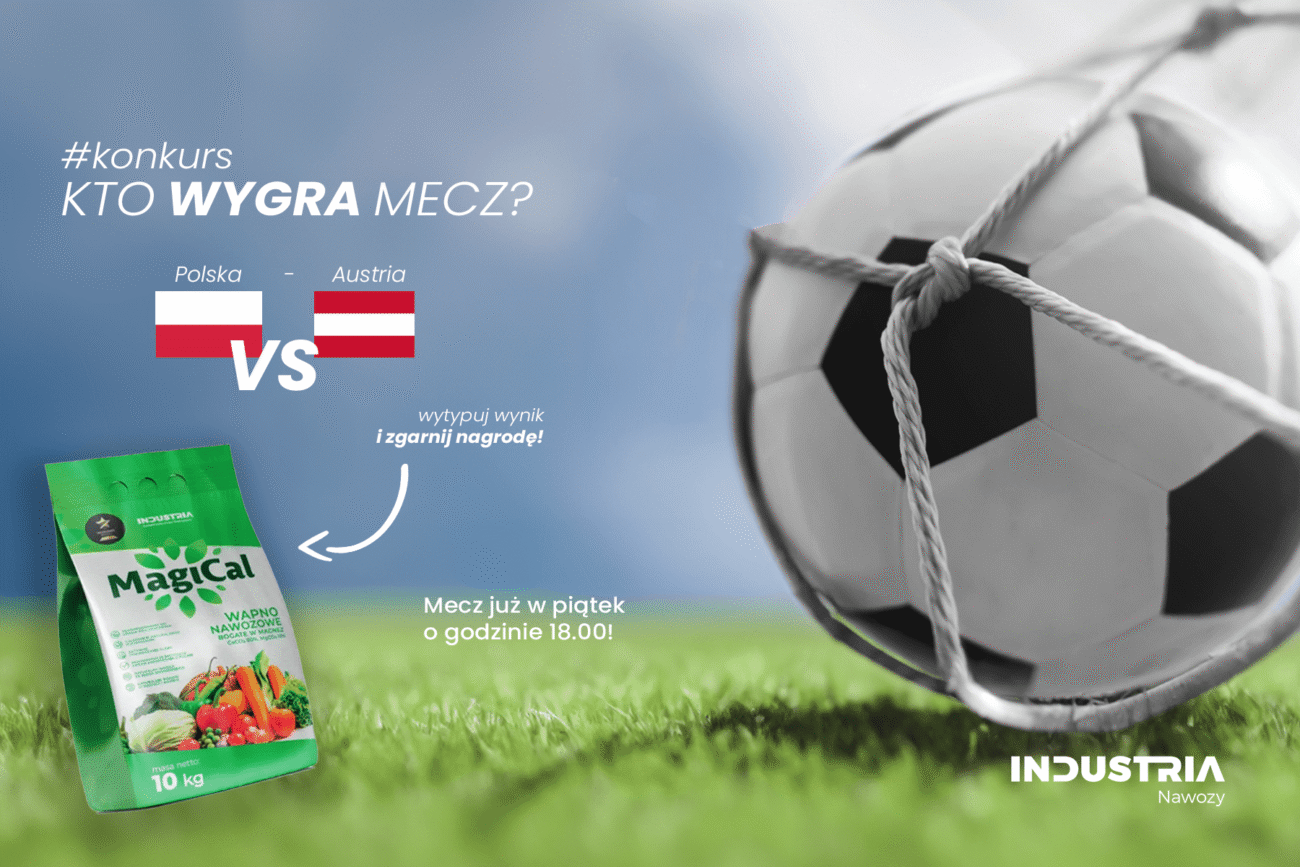 Konkurs – wytypuj wynik meczu Polska – Austria