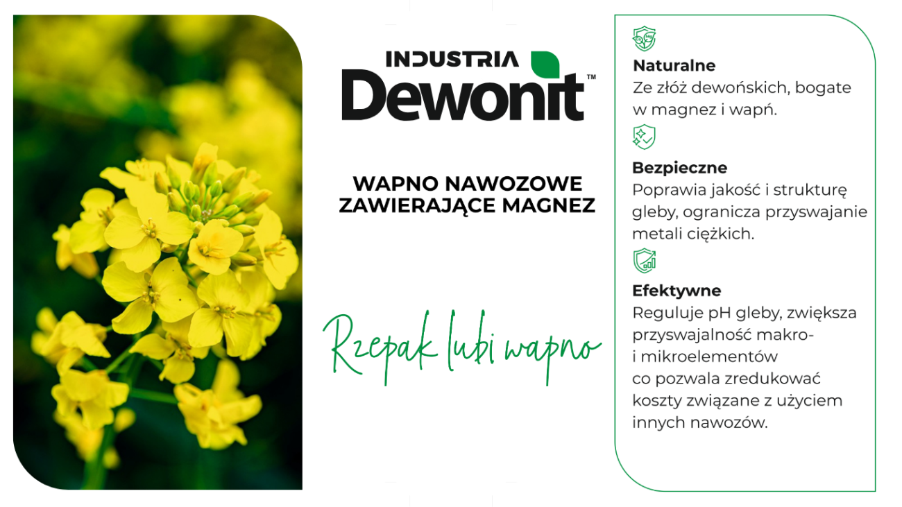 Wapnowanie pod wymagający rzepak – znaczenie, terminy i zasady